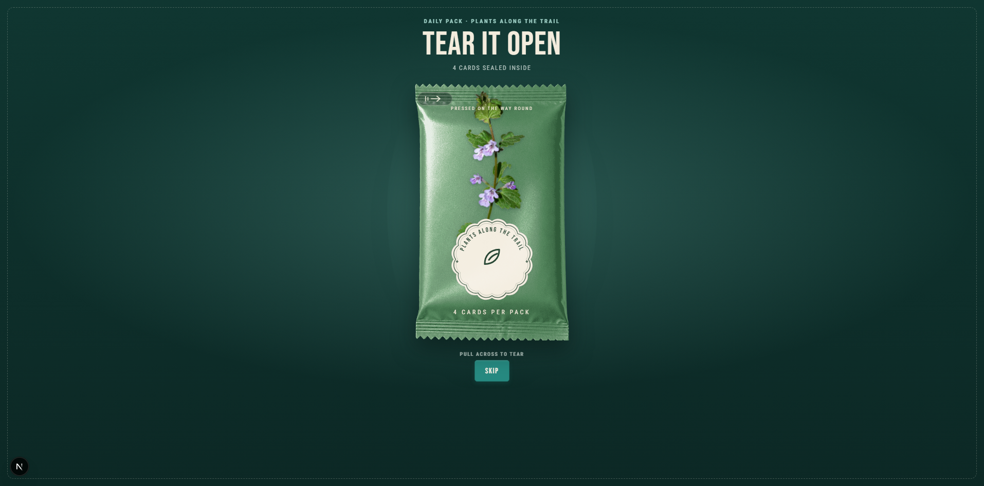 Miscellary flower pack ready to open