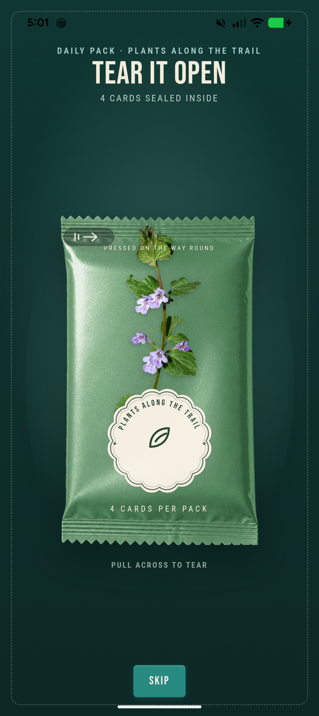 Miscellary mobile flower pack ready to open