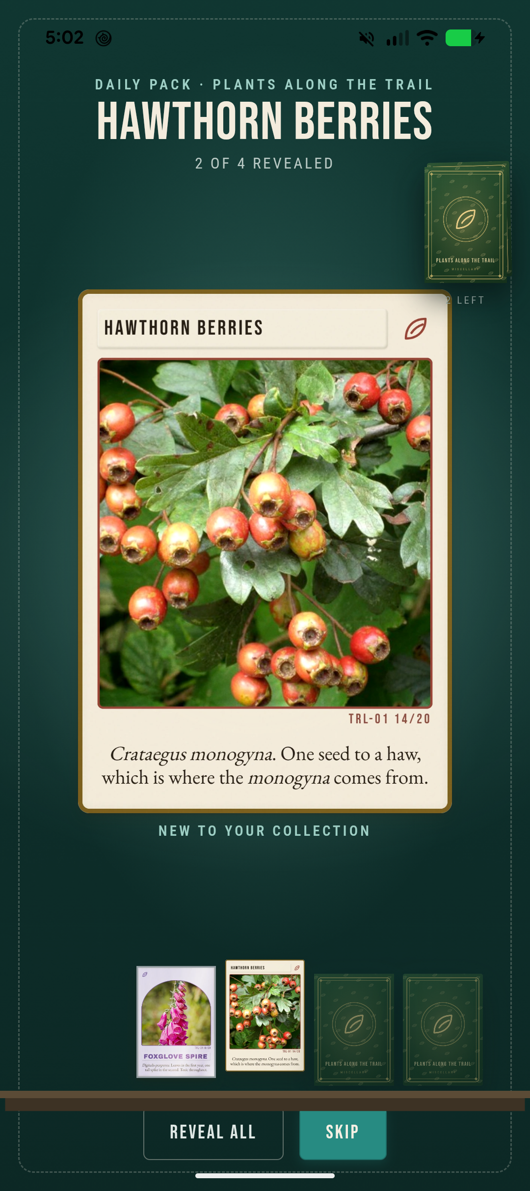 Miscellary mobile flower pack reveal in progress